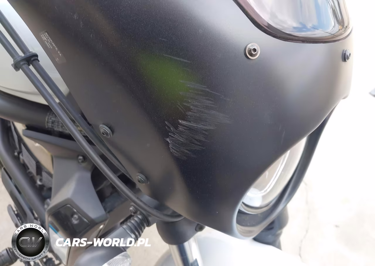 2021 Kawasaki En650 C VIN:JKAENEC16MDA03506 - 16