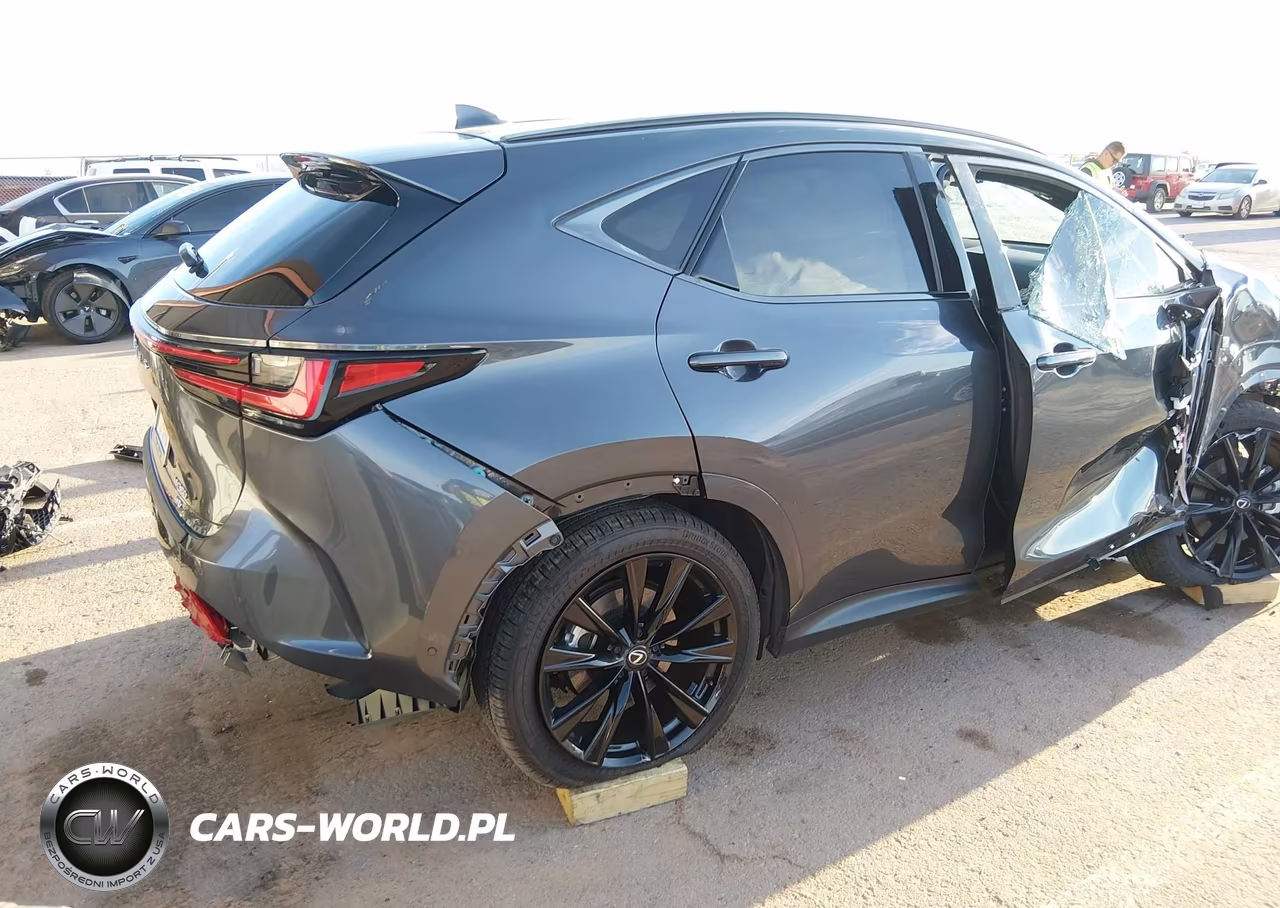 2025 Lexus Nx 350 F Sport Handling VIN:2T2KGCEZ7SC087302 - 19
