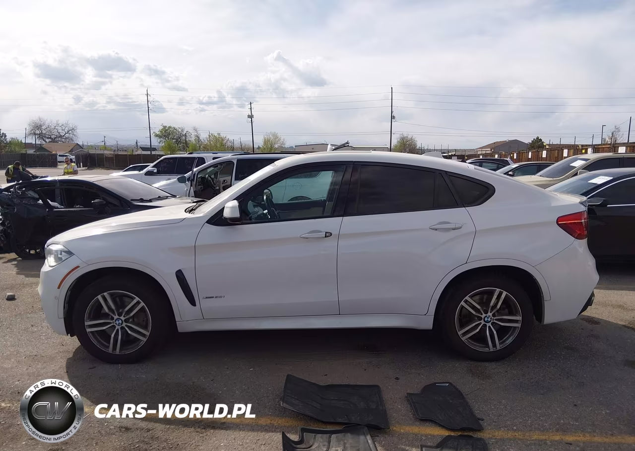 2015 BMW X6 xDrive50I VIN:5UXKU6C5XF0F93996 - 14