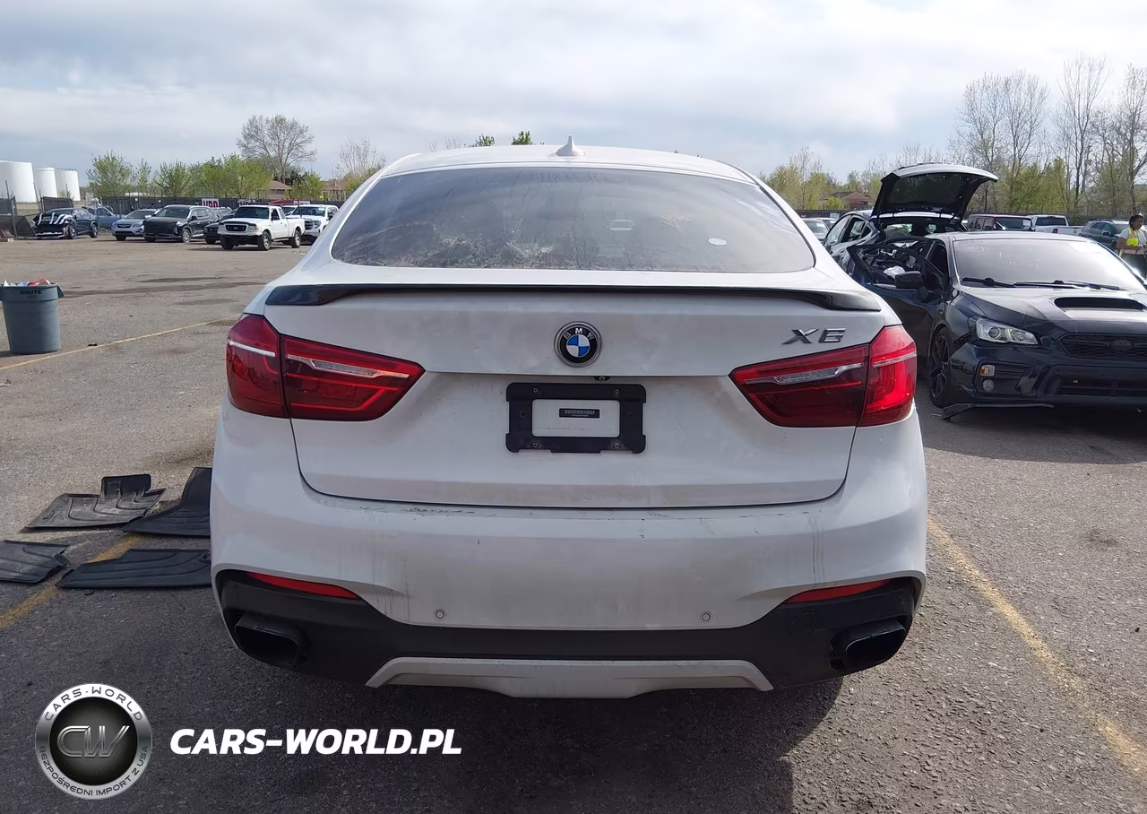 2015 BMW X6 xDrive50I VIN:5UXKU6C5XF0F93996 - 16