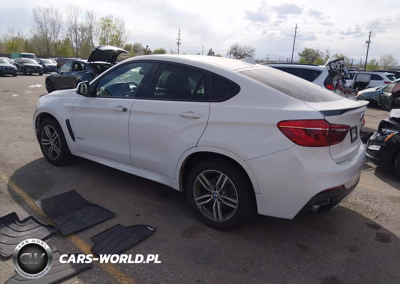 2015 BMW X6 xDrive50I VIN:5UXKU6C5XF0F93996 - 3