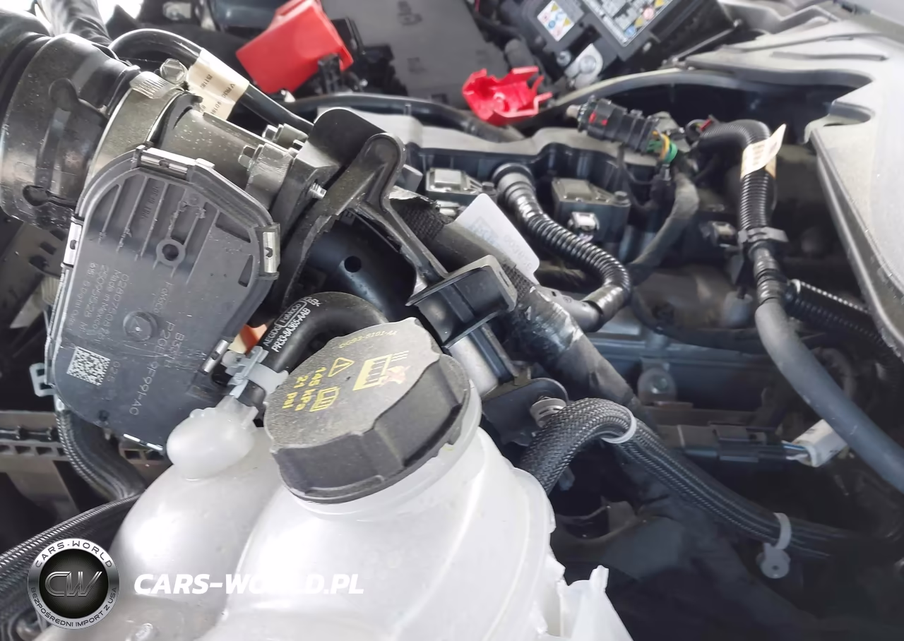 2025 Ford Mustang Ecoboost Fastback VIN:1FA6P8TH4S5120255 - 10