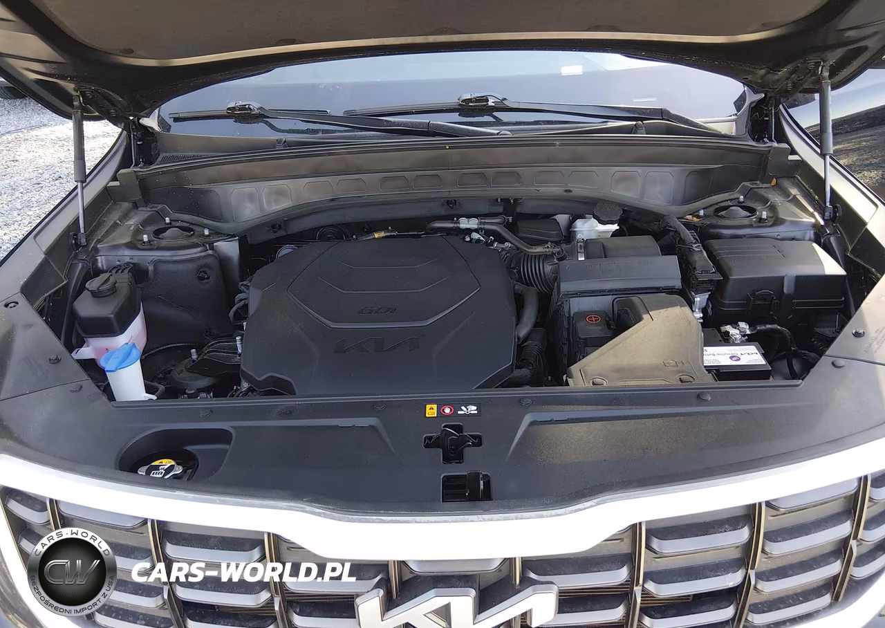 2024 Kia Telluride Sx Prestige VIN:5XYP5DGCXRG460975 - 10