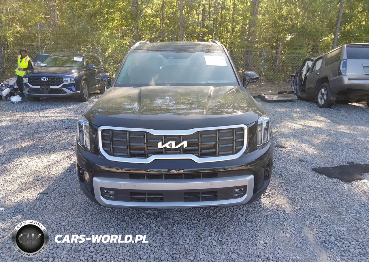 2024 Kia Telluride Sx Prestige VIN:5XYP5DGCXRG460975 - 12