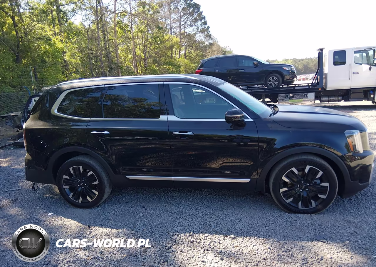 2024 Kia Telluride Sx Prestige VIN:5XYP5DGCXRG460975 - 13