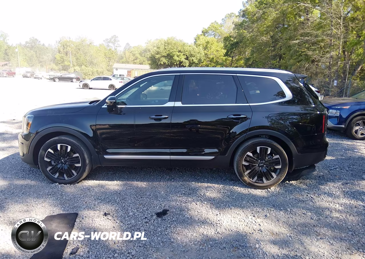 2024 Kia Telluride Sx Prestige VIN:5XYP5DGCXRG460975 - 14