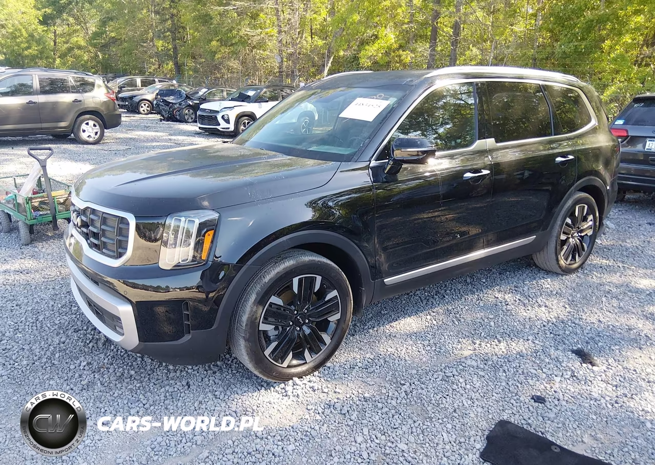 2024 Kia Telluride Sx Prestige VIN:5XYP5DGCXRG460975 - 2