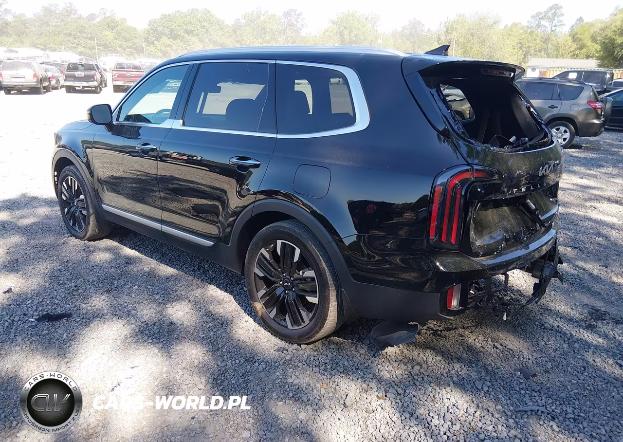 2024 Kia Telluride Sx Prestige VIN:5XYP5DGCXRG460975 - 3