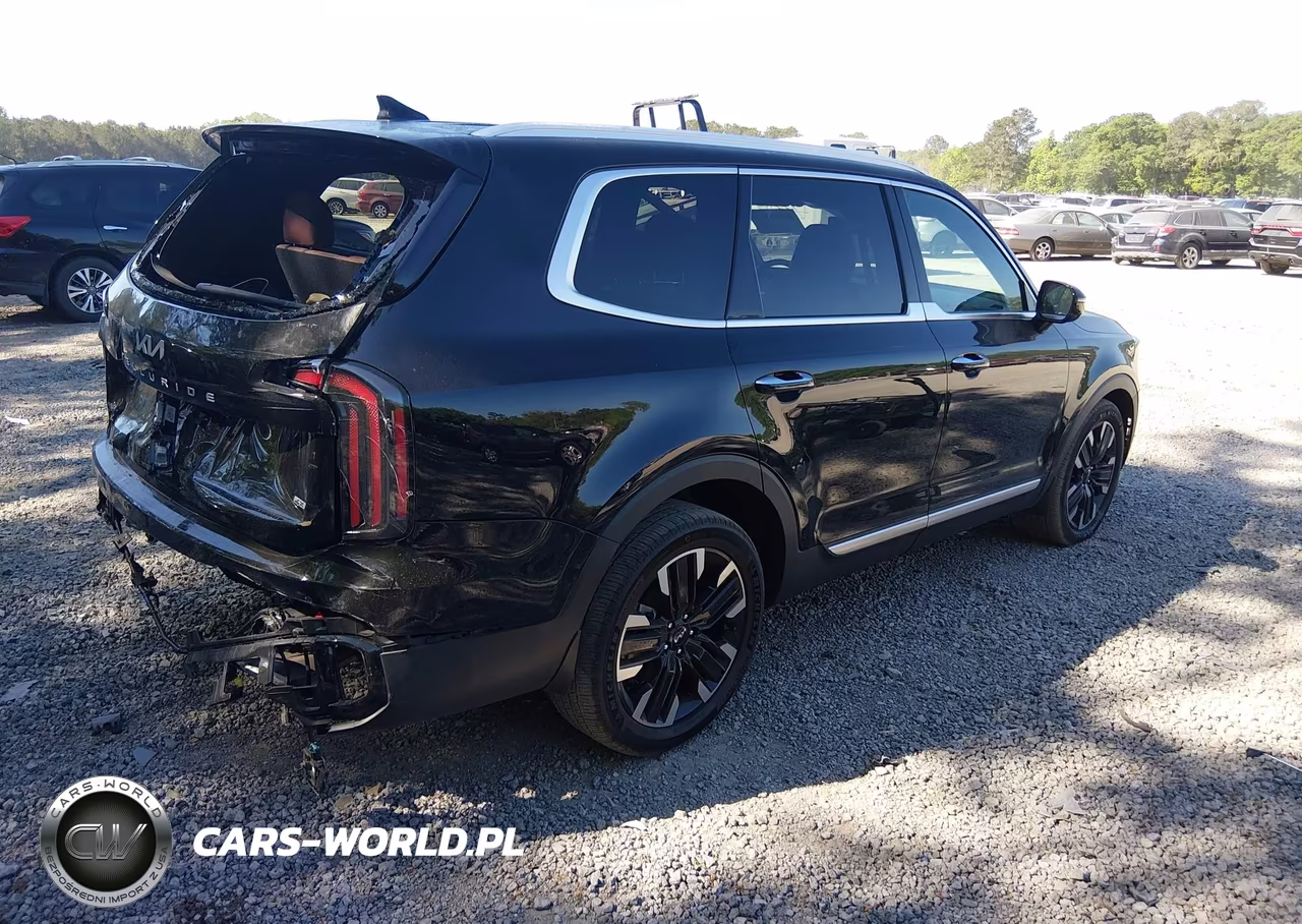 2024 Kia Telluride Sx Prestige VIN:5XYP5DGCXRG460975 - 4