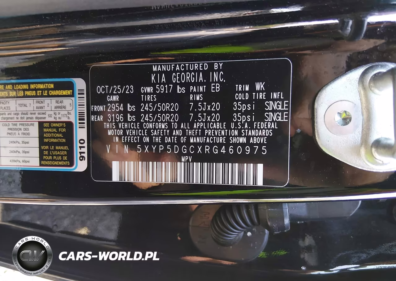 2024 Kia Telluride Sx Prestige VIN:5XYP5DGCXRG460975 - 9