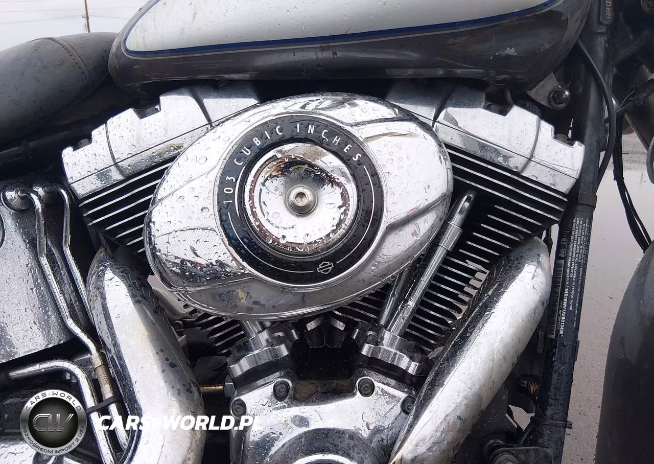 2014 Harley-Davidson Flstc Heritage Softail Classic VIN:1HD1BWV1XEB013450 - 8