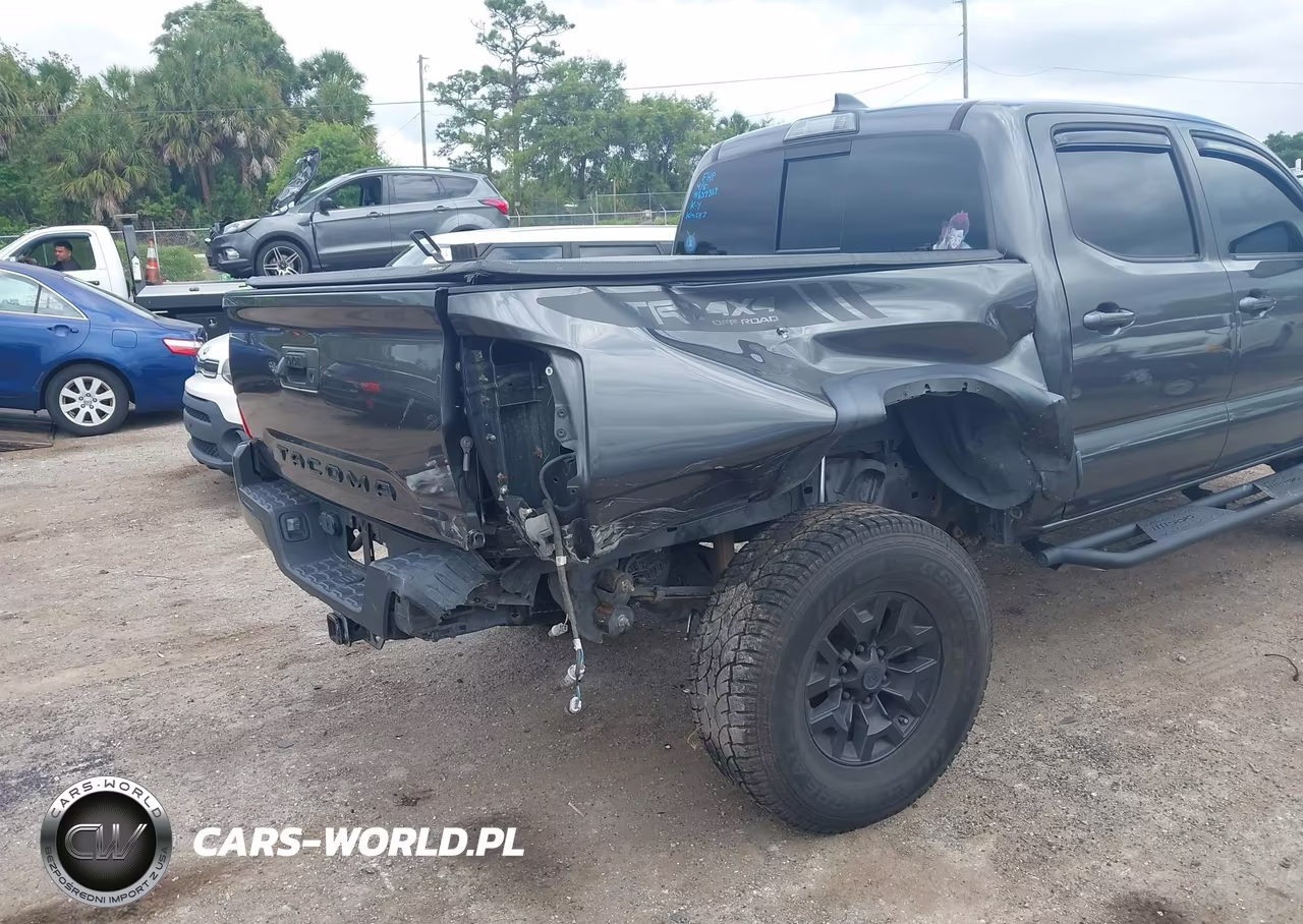 2019 Toyota Tacoma Trd Off Road VIN:3TMCZ5AN3KM274433 - 6