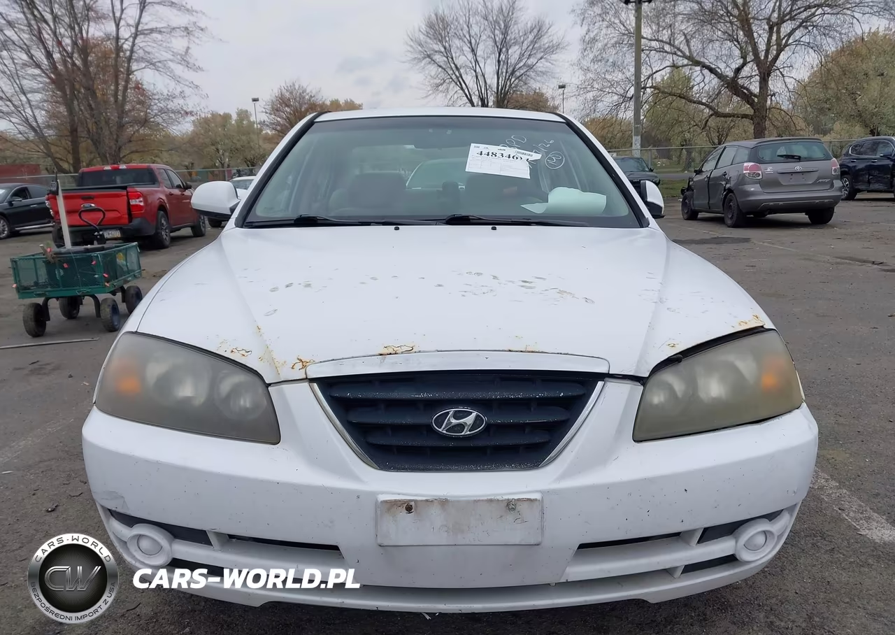 2004 Hyundai Elantra Gls-Gt VIN:KMHDN46D34U728765 - 12
