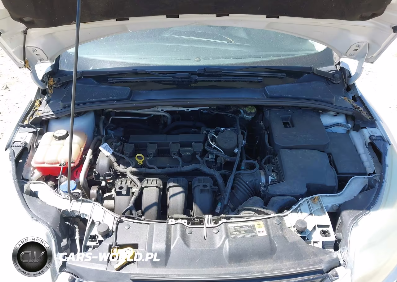 2012 Ford Focus Sel VIN:1FAHP3H26CL138446 - 10