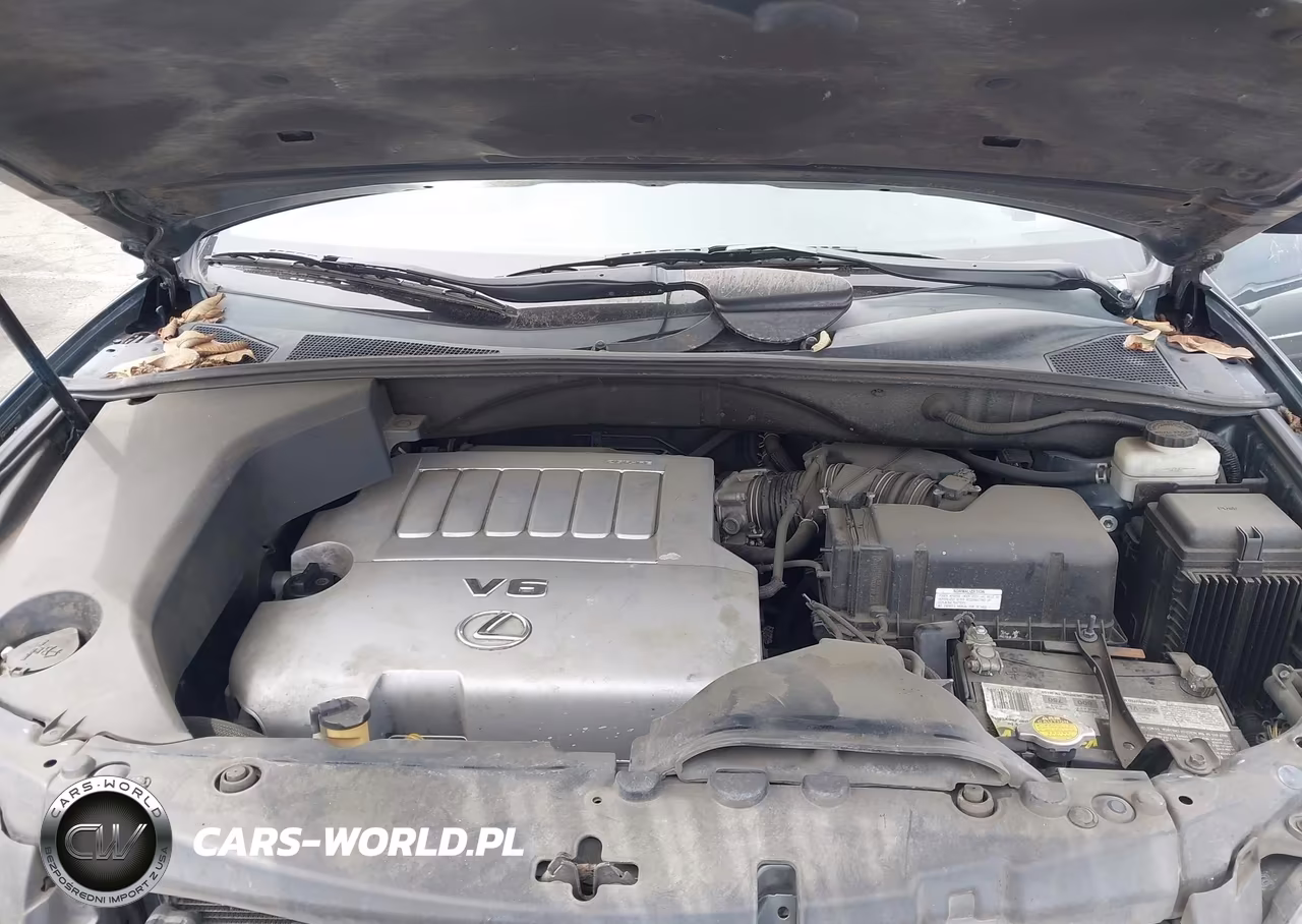2008 Lexus Rx 350 VIN:2T2GK31U58C027686 - 10