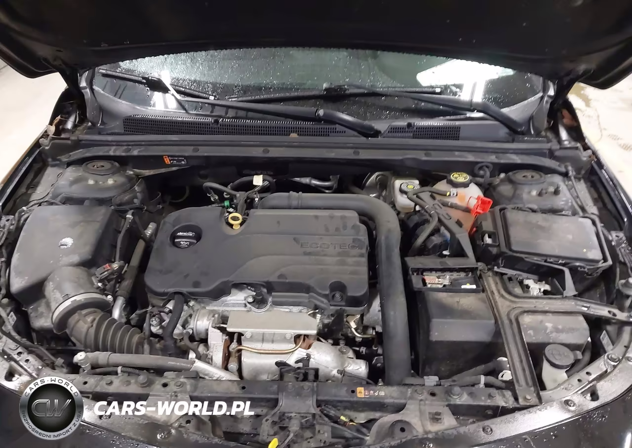 2019 Chevrolet Malibu Lt VIN:1G1ZD5ST9KF128780 - 10