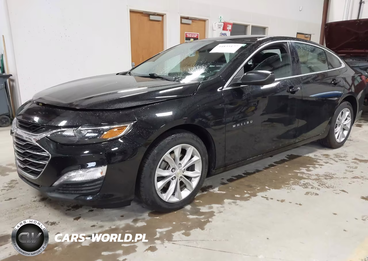 2019 Chevrolet Malibu Lt VIN:1G1ZD5ST9KF128780 - 2