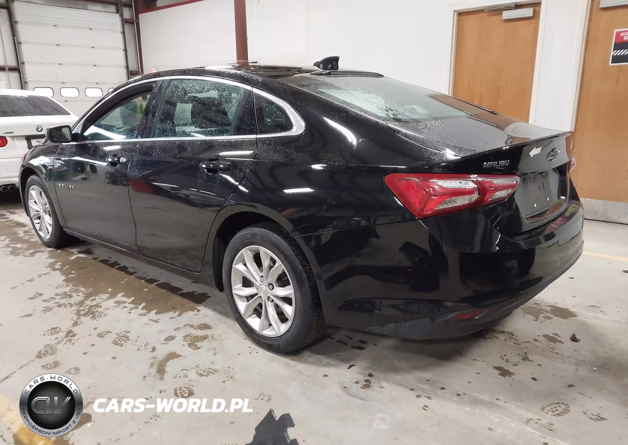2019 Chevrolet Malibu Lt VIN:1G1ZD5ST9KF128780 - 3