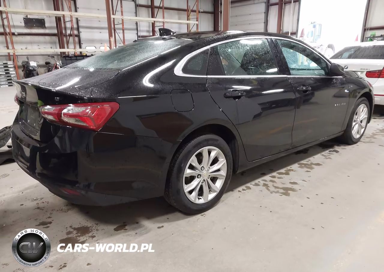 2019 Chevrolet Malibu Lt VIN:1G1ZD5ST9KF128780 - 4