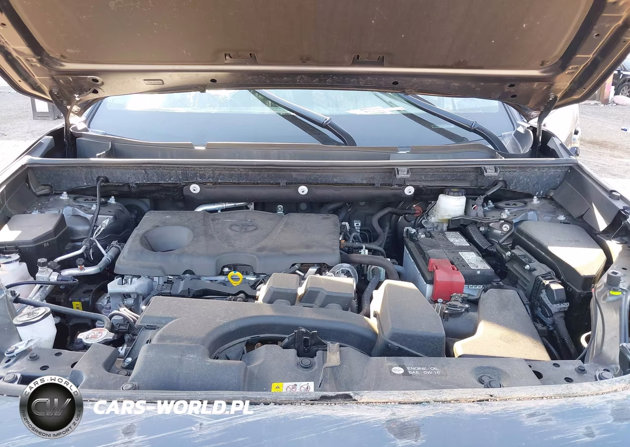 2025 Toyota Rav4 Xle VIN:2T3P1RFV9SW513409 - 10