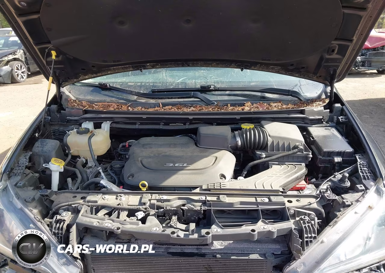 2019 Chrysler Pacifica Touring L VIN:2C4RC1BG2KR532759 - 10