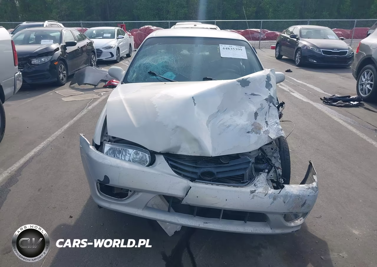 2001 Toyota Corolla Le VIN:1NXBR12E41Z549381 - 11