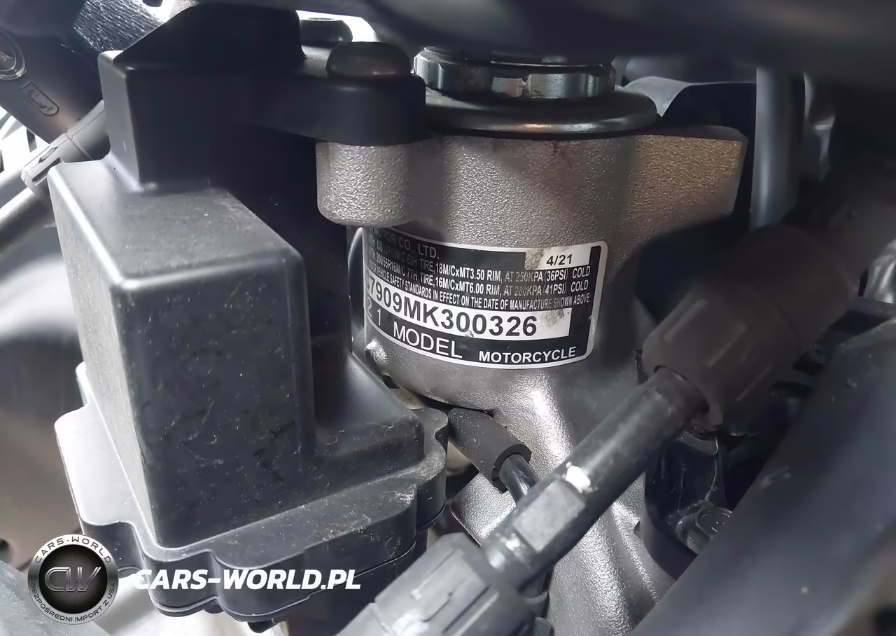 2021 Honda Gl1800 VIN:JH2SC7909MK300326 - 10