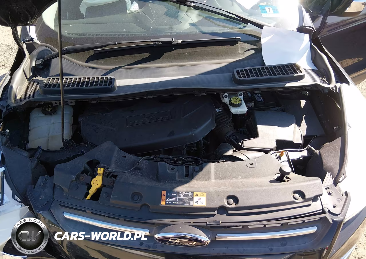 2014 Ford Escape Se VIN:1FMCU9G99EUC64114 - 10