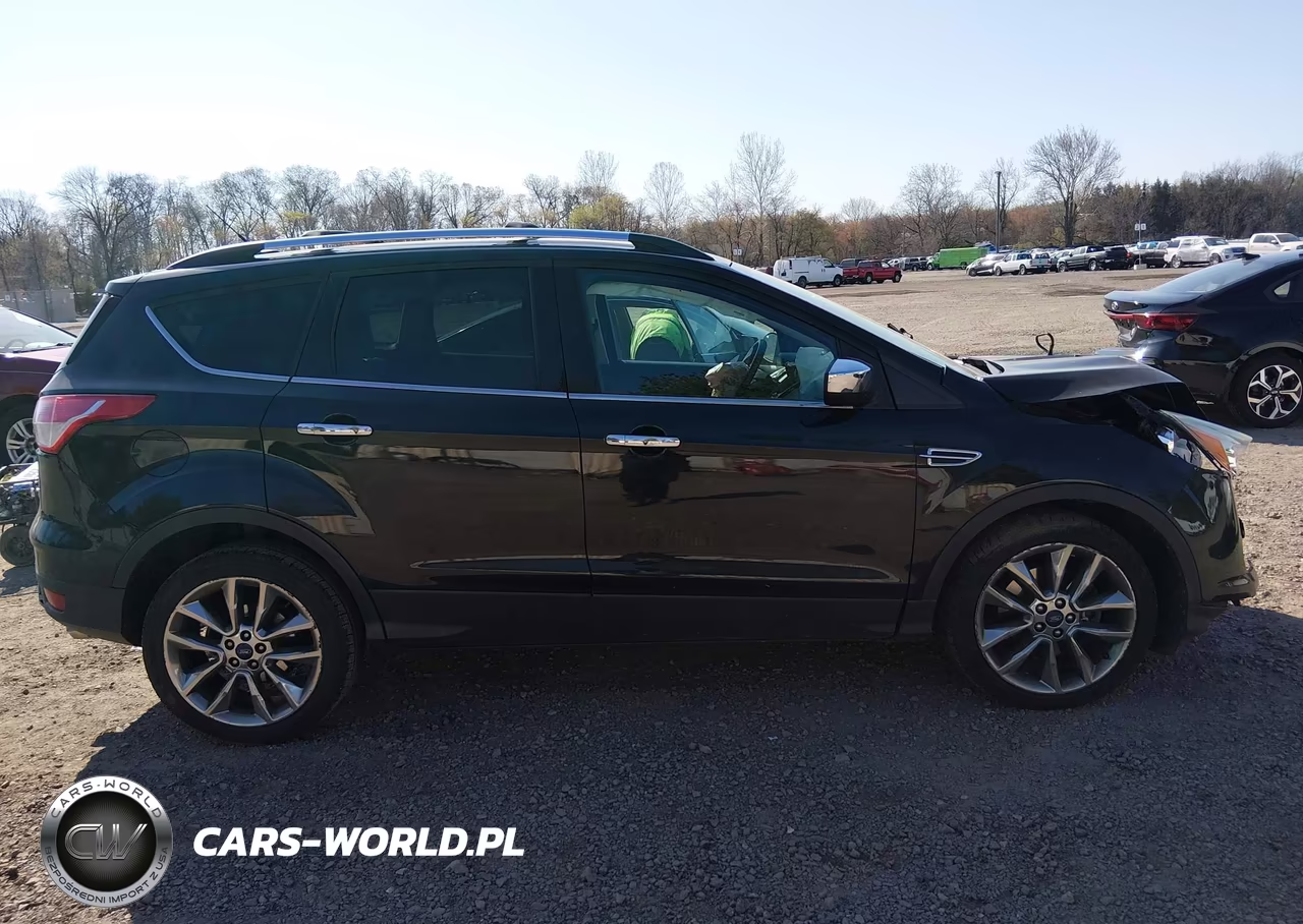 2014 Ford Escape Se VIN:1FMCU9G99EUC64114 - 12