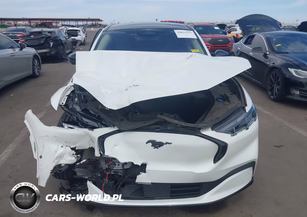 2024 Ford Mustang Mach-E Premium VIN:3FMTK3SU8RMA27414 - 12