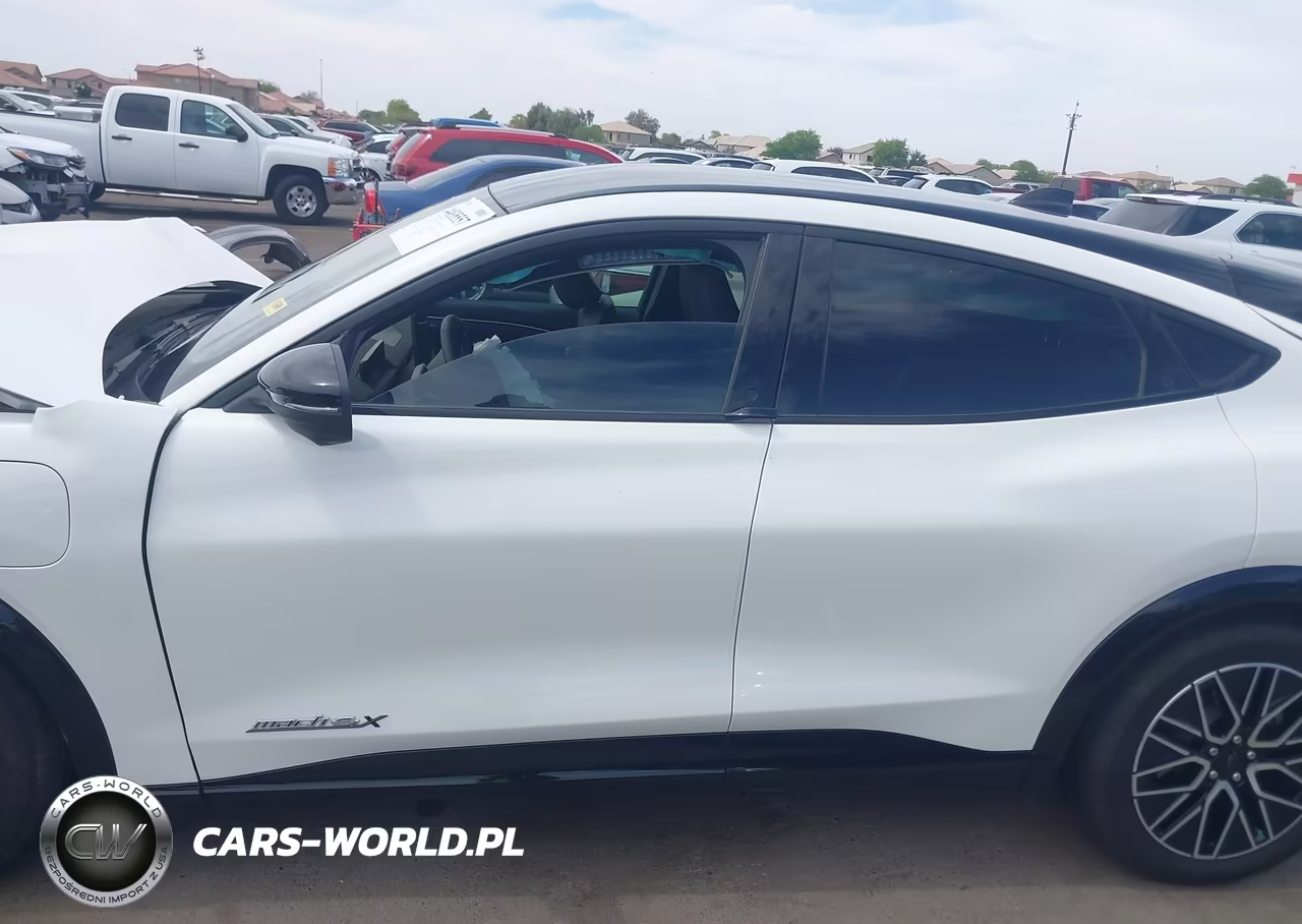 2024 Ford Mustang Mach-E Premium VIN:3FMTK3SU8RMA27414 - 14