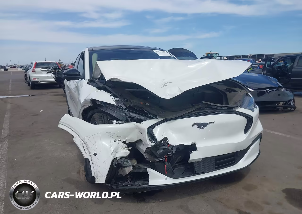2024 Ford Mustang Mach-E Premium VIN:3FMTK3SU8RMA27414 - 6