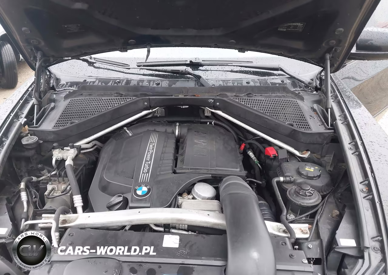 2011 BMW X5 xDrive35I-xDrive35I Premium-xDrive35I Sport Activity VIN:5UXZV4C55BL403303 - 10