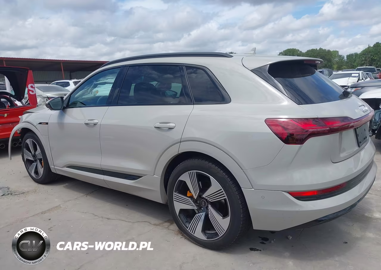2022 Audi E-Tron Premium Plus Quattro VIN:WA1LAAGE7NB009110 - 15
