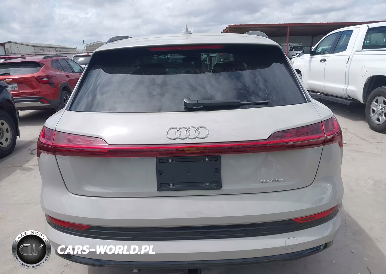 2022 Audi E-Tron Premium Plus Quattro VIN:WA1LAAGE7NB009110 - 17