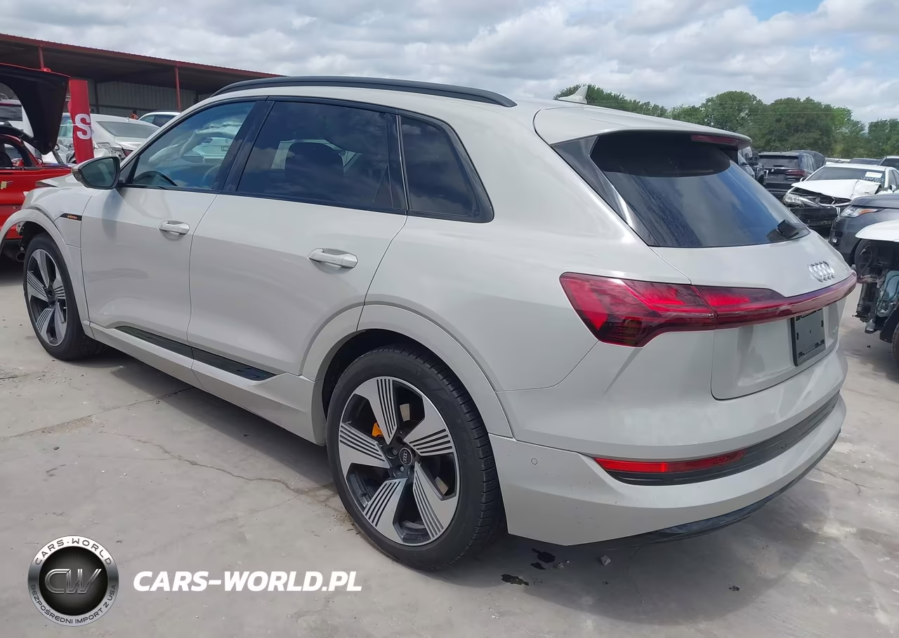 2022 Audi E-Tron Premium Plus Quattro VIN:WA1LAAGE7NB009110 - 3