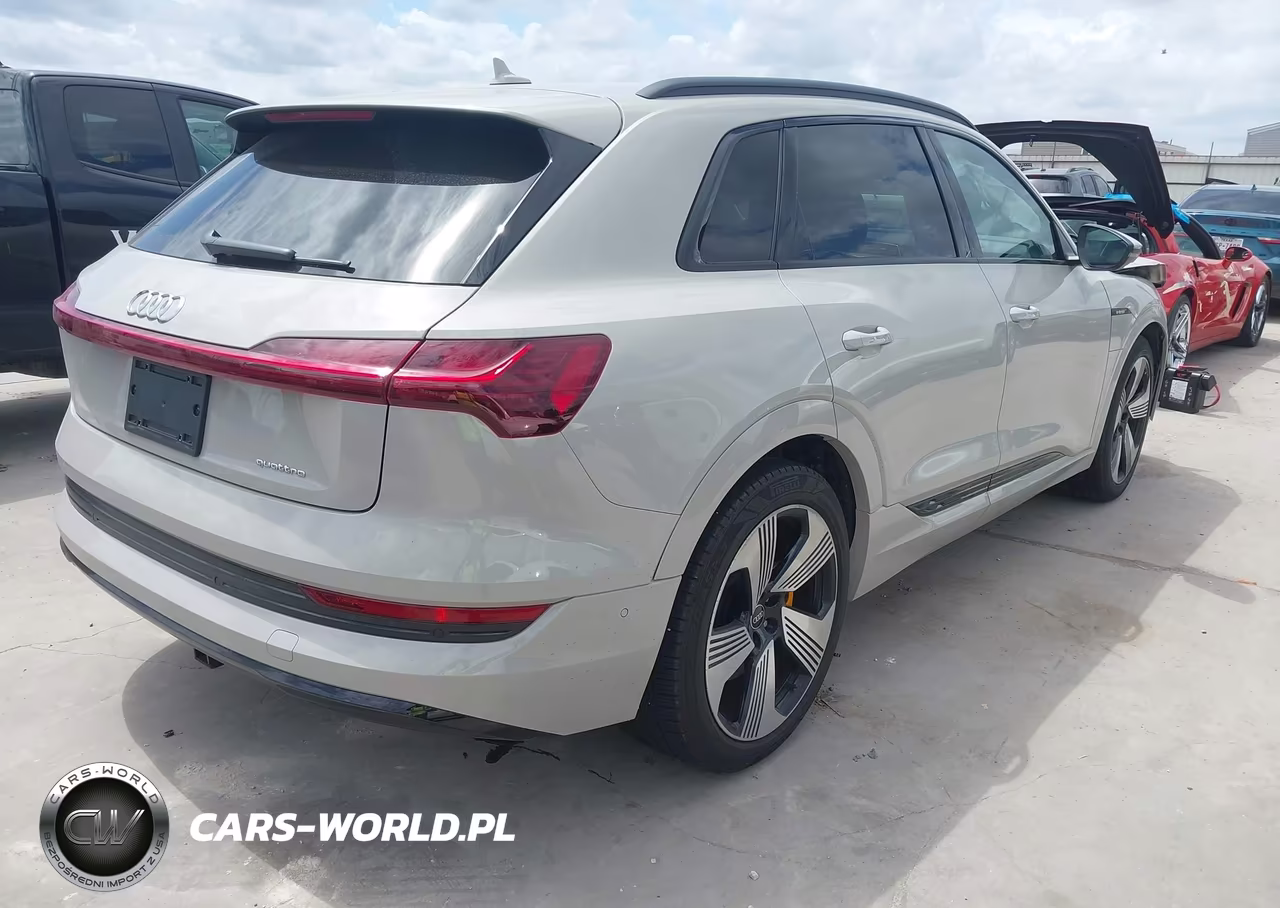 2022 Audi E-Tron Premium Plus Quattro VIN:WA1LAAGE7NB009110 - 4