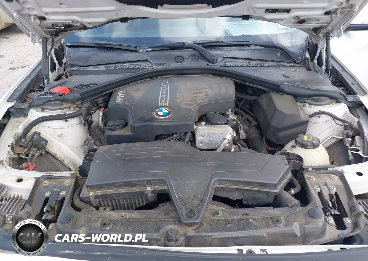 2014 BMW 228I VIN:WBA1F5C55EV255418 - 10