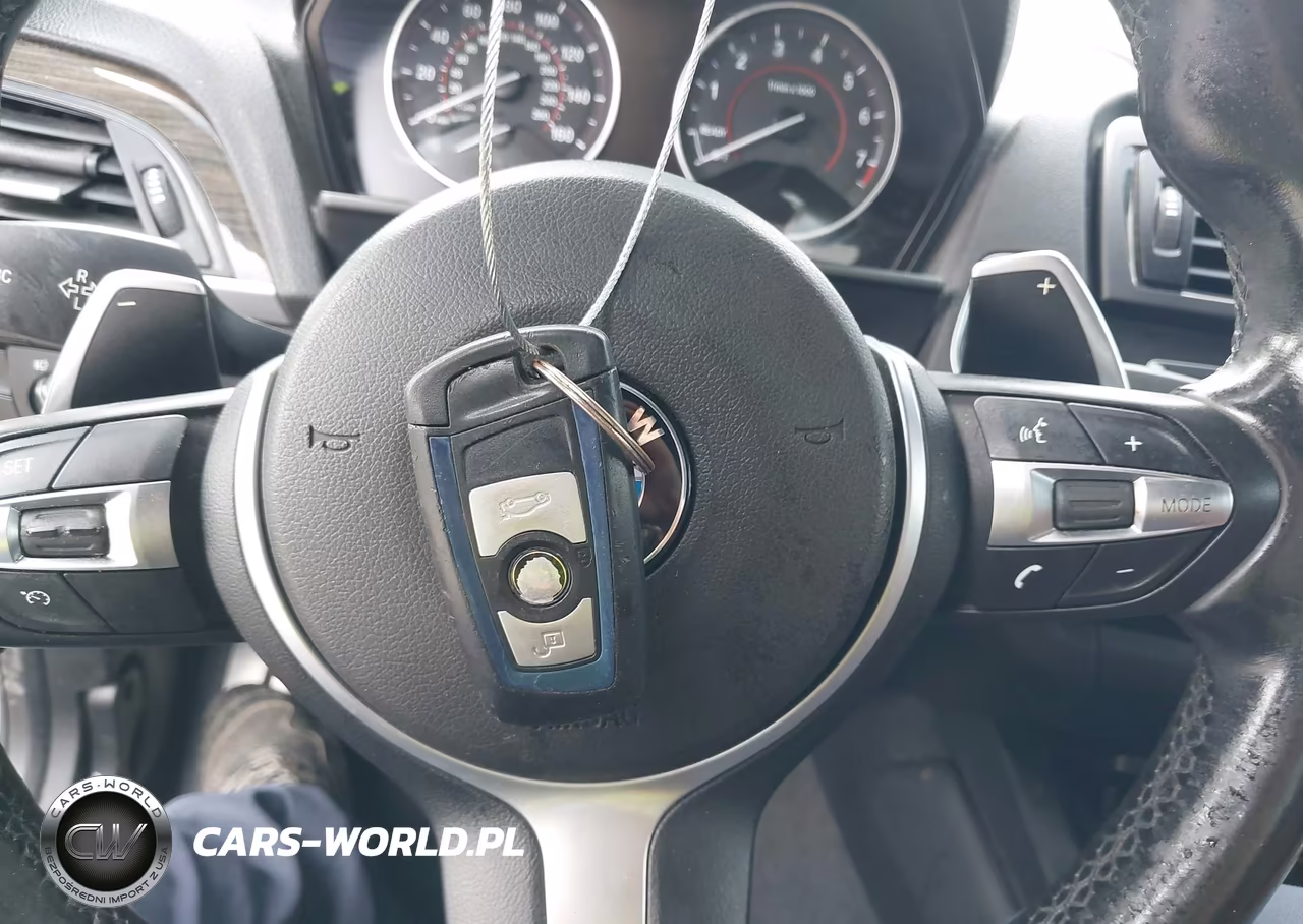 2014 BMW 228I VIN:WBA1F5C55EV255418 - 11