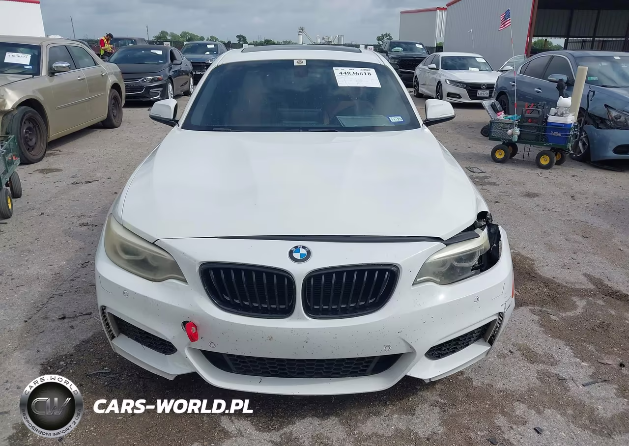 2014 BMW 228I VIN:WBA1F5C55EV255418 - 12