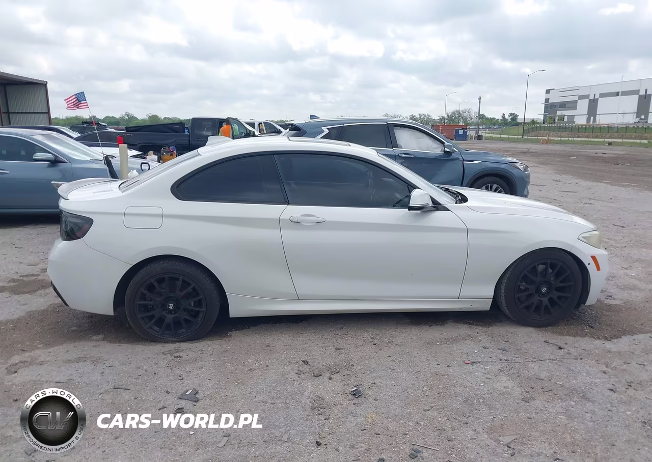 2014 BMW 228I VIN:WBA1F5C55EV255418 - 13