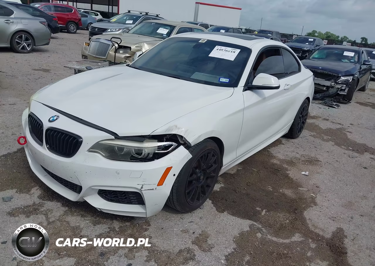 2014 BMW 228I VIN:WBA1F5C55EV255418 - 2