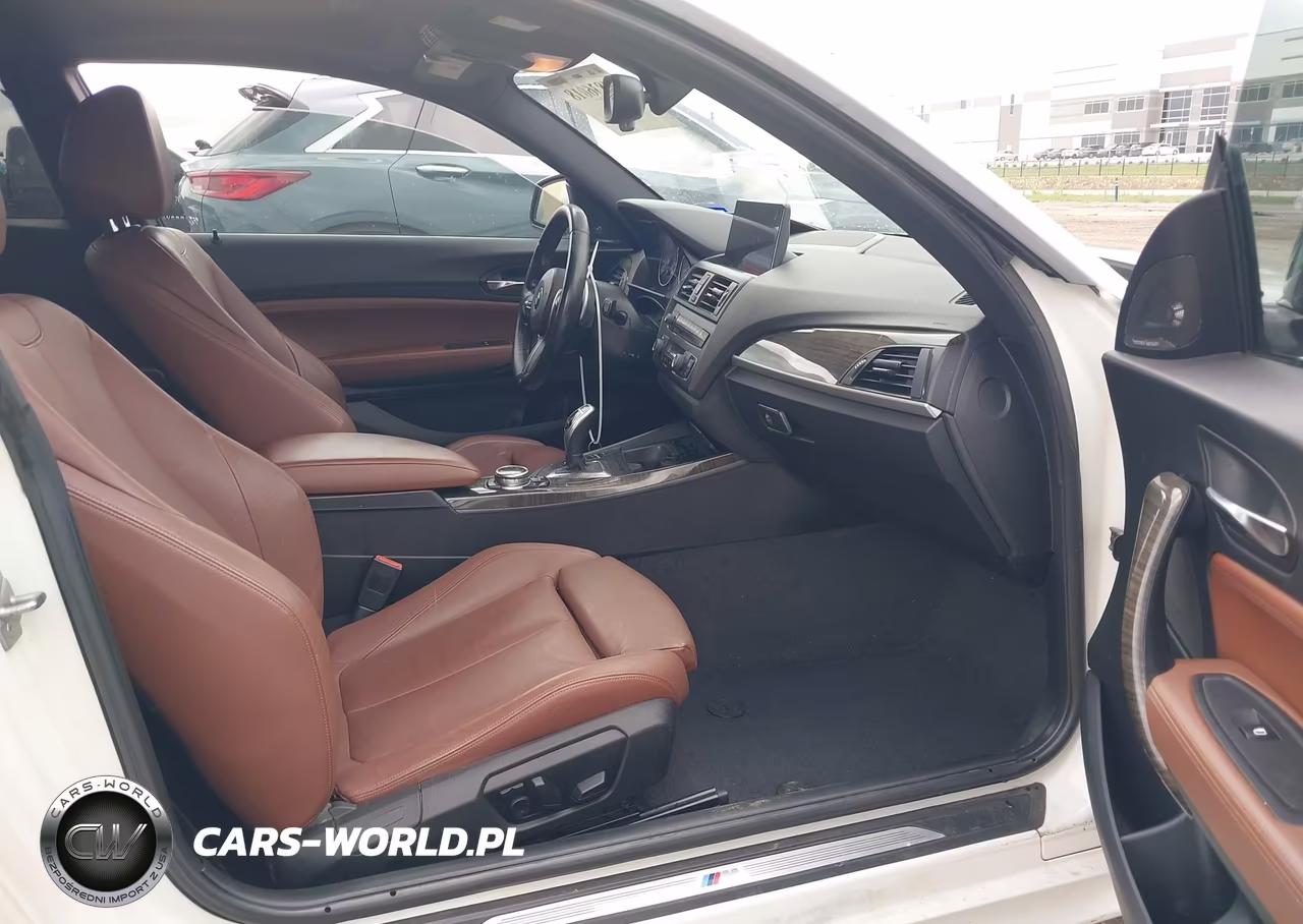 2014 BMW 228I VIN:WBA1F5C55EV255418 - 5