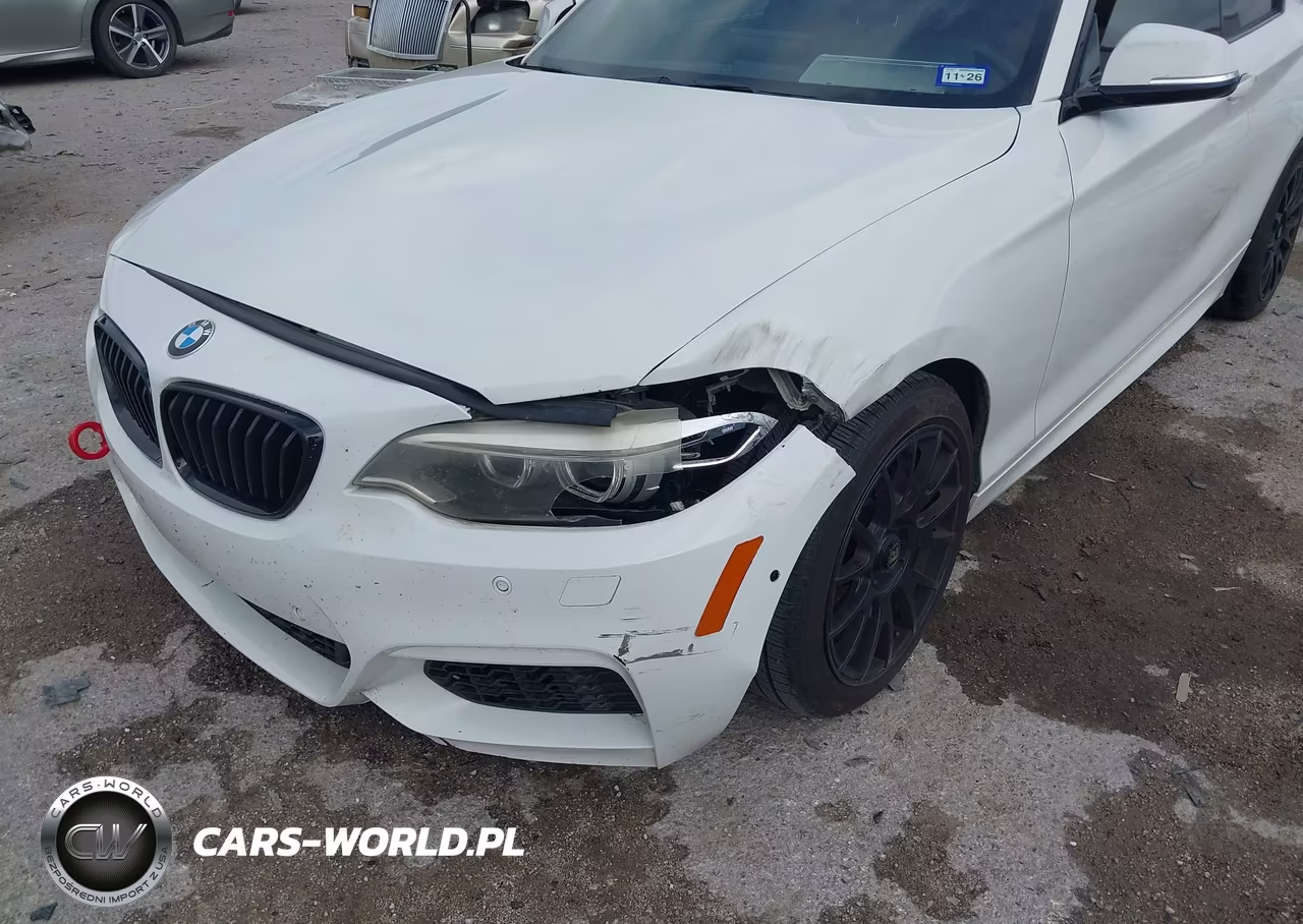 2014 BMW 228I VIN:WBA1F5C55EV255418 - 6
