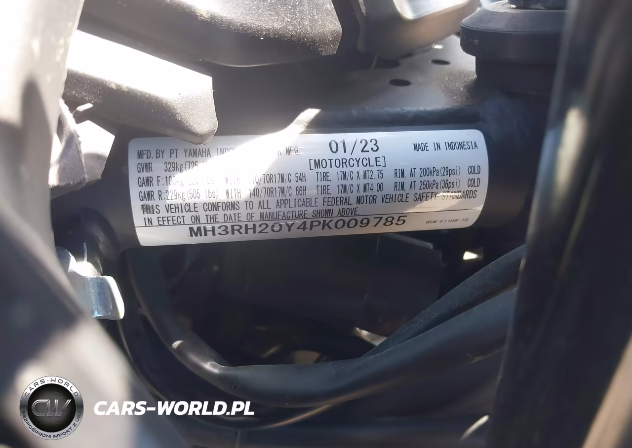 2023 Yamaha Mt-03 VIN:MH3RH20Y4PK009785 - 10