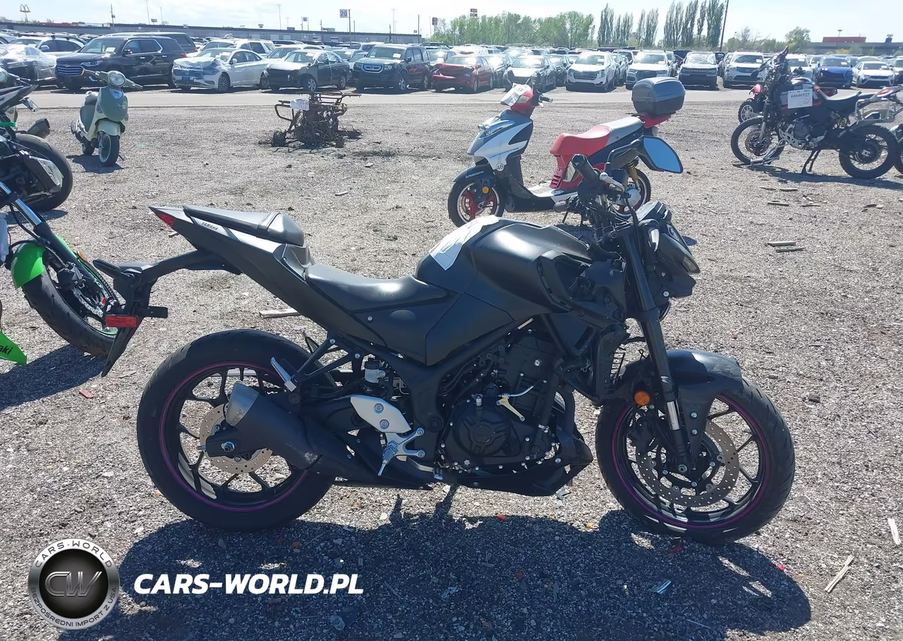 2023 Yamaha Mt-03 VIN:MH3RH20Y4PK009785 - 12