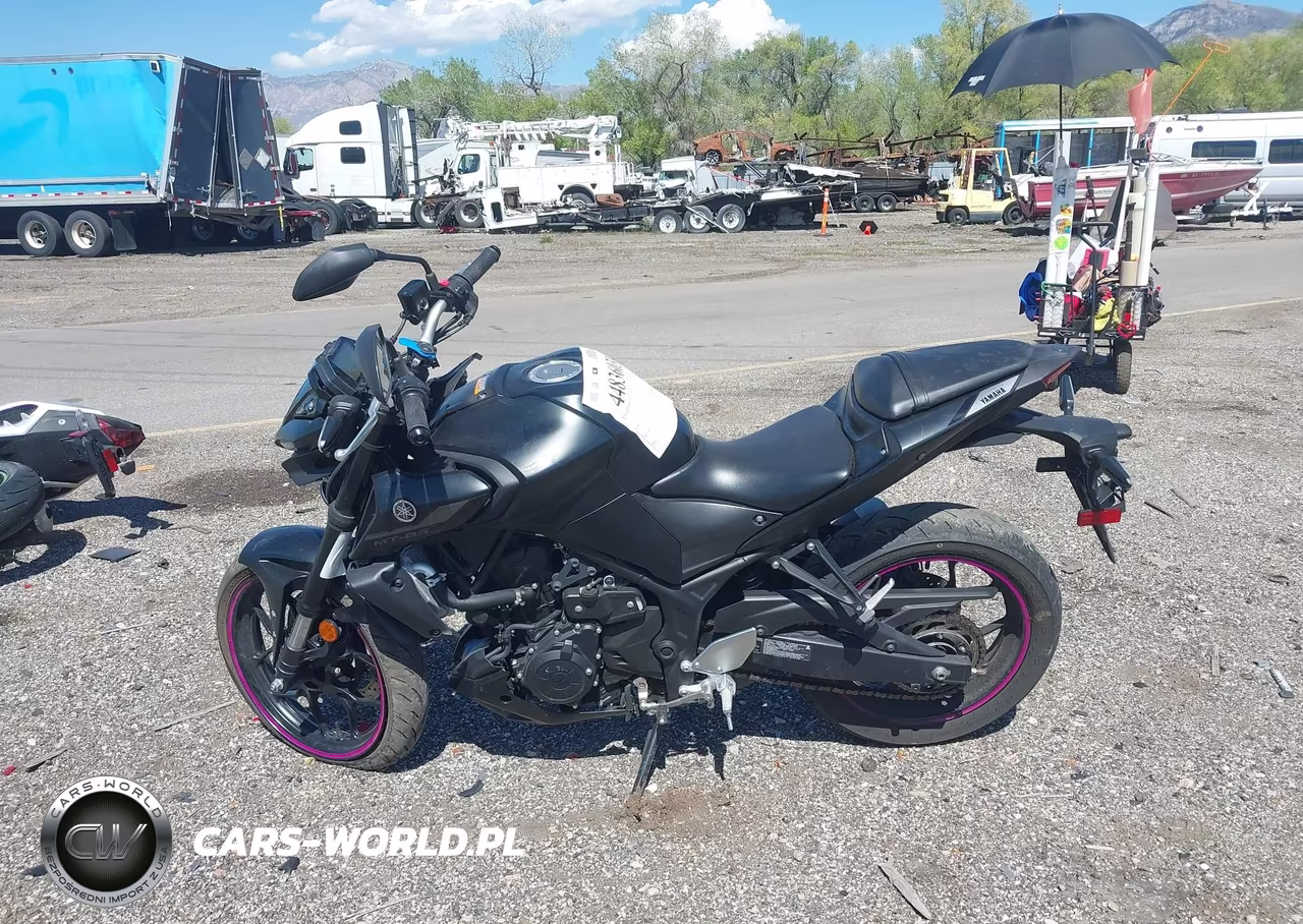 2023 Yamaha Mt-03 VIN:MH3RH20Y4PK009785 - 13