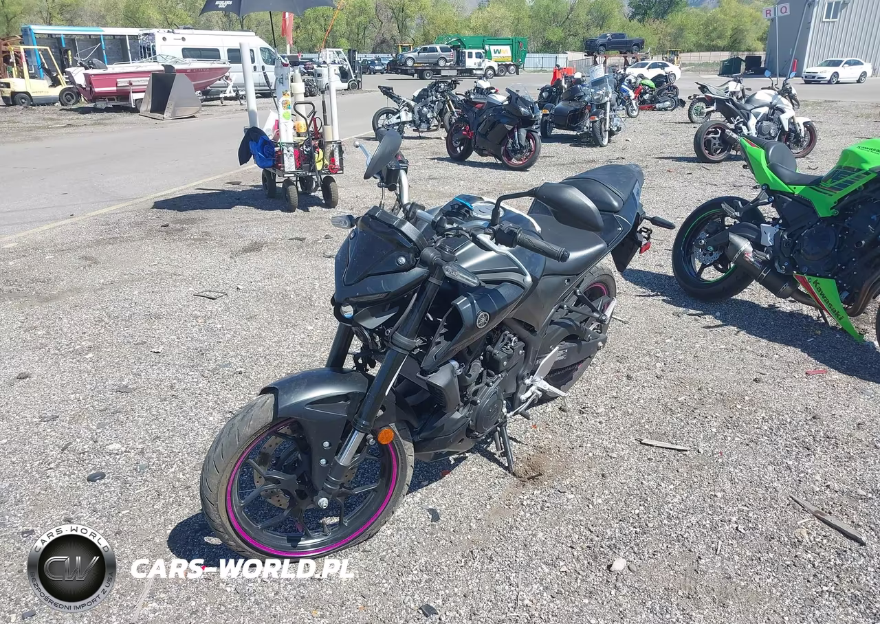 2023 Yamaha Mt-03 VIN:MH3RH20Y4PK009785 - 2