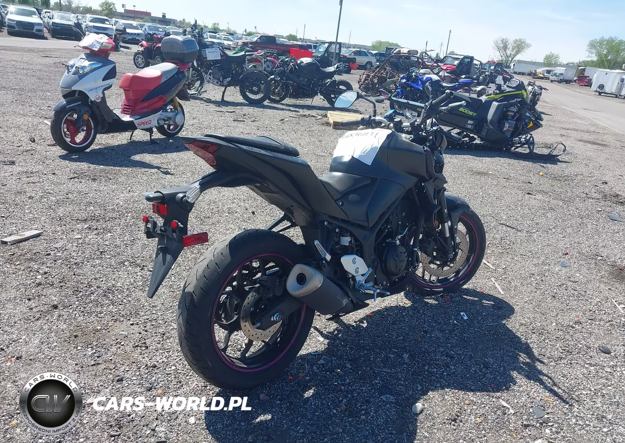 2023 Yamaha Mt-03 VIN:MH3RH20Y4PK009785 - 4