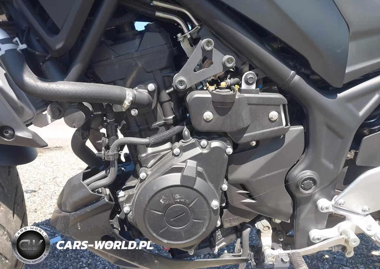 2023 Yamaha Mt-03 VIN:MH3RH20Y4PK009785 - 9